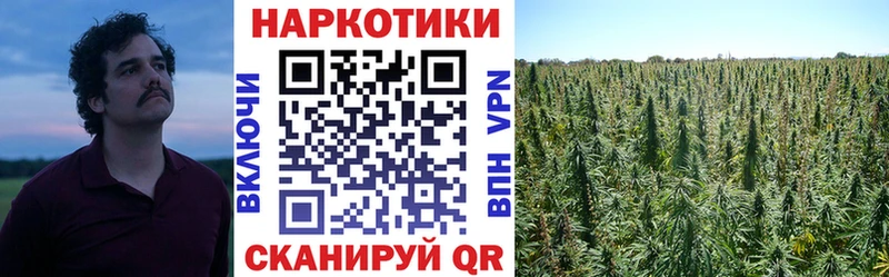 Виды наркоты Афипский Гашиш  АМФЕТАМИН  Меф мяу мяу  Каннабис  КОКАИН 