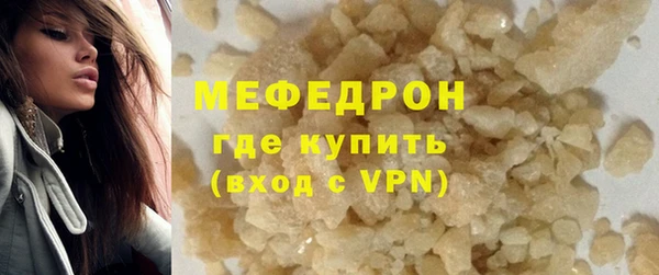 индика Арсеньев