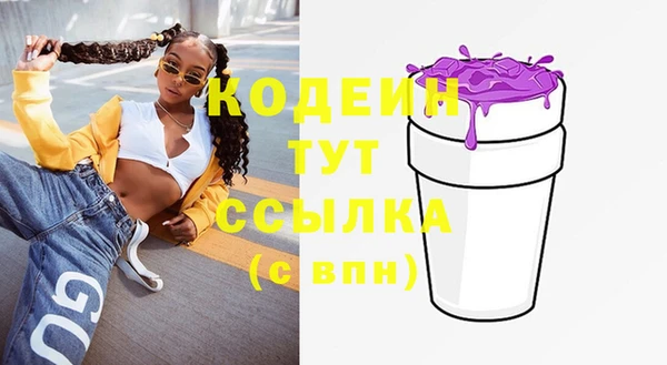 индика Арсеньев