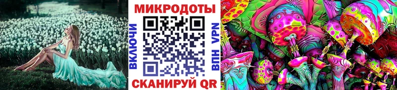 сколько стоит  Афипский  Псилоцибиновые грибы Cubensis 